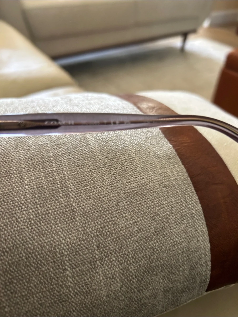 COACH Translucent Gradient Eye Glasses